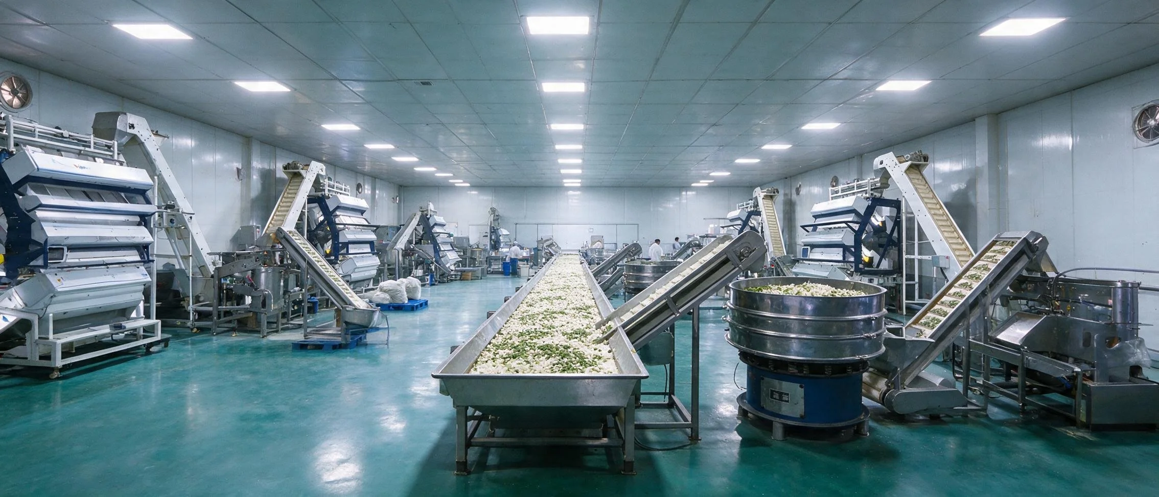 Processing floor: slicing, grading and sorting dried ingredients in China